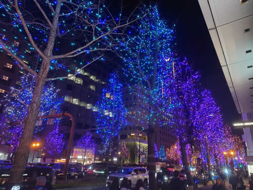 年末恒例の御堂筋イルミネーション